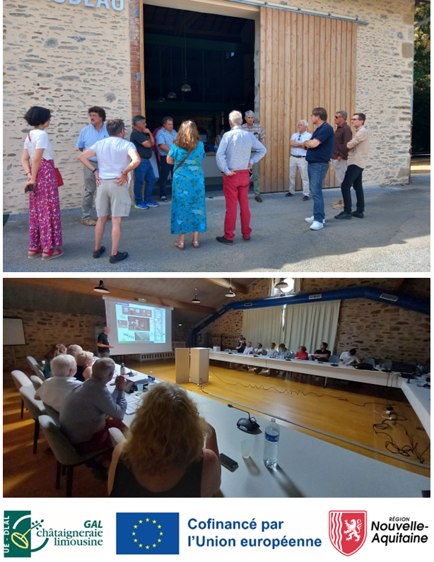 Comité pilotage fonds européens
