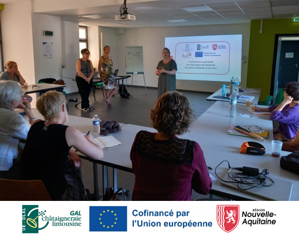 Formation inclusion logos financeurs